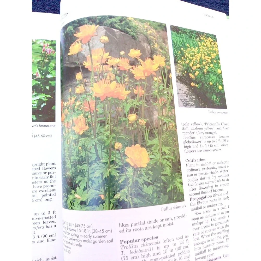 A–Z of Perennials – Reader's Digest Successful Gardening Series 1990, Hardcover‎